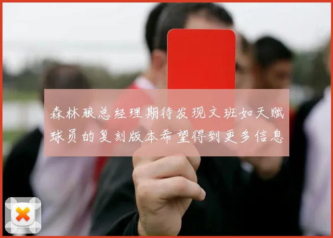 森林狼总经理期待发现文班如天赋球员的复刻版本希望得到更多信息
