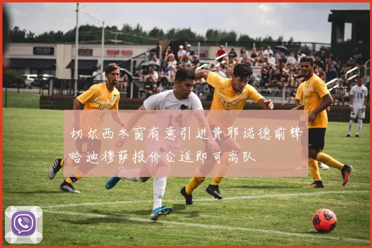 切尔西冬窗有意引进费耶诺德前锋哈迪穆萨报价合适即可离队